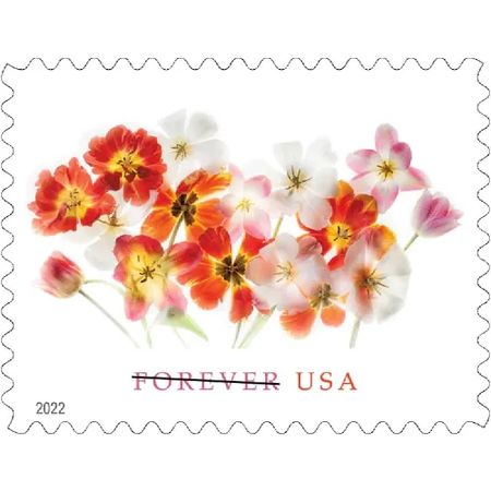 Tulips 2022 - 5 Sheets 100 Pcs Unused Stamps for Mailing
